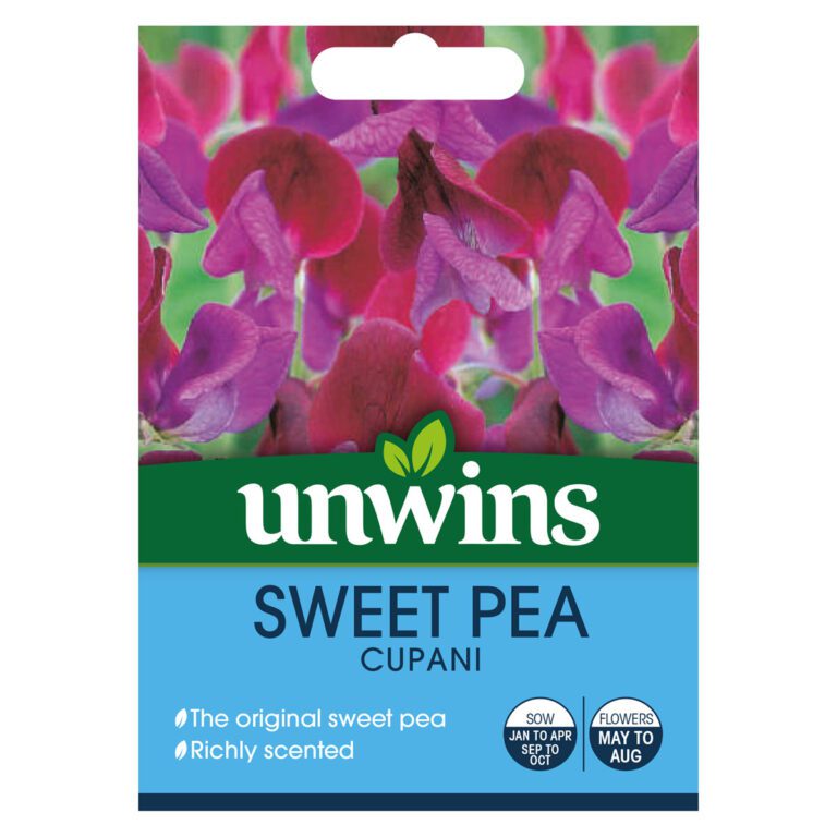 5051618031684 1 Sweet Pea Cupani Seeds.jpg